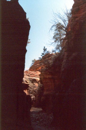 ../Images/091.Zion Canjon.jpg